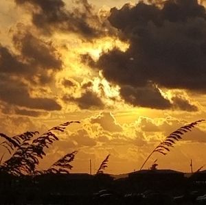 Meet your Posher, Rod-misti